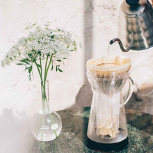 Load image into Gallery viewer, Hario V60 Hot & Iced Glass Coffee Maker - 700ml