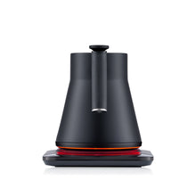 Load image into Gallery viewer, Baristan Gooseneck Kettle
