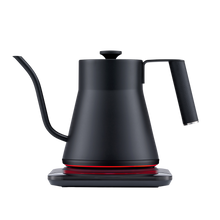 Load image into Gallery viewer, Baristan Gooseneck Kettle
